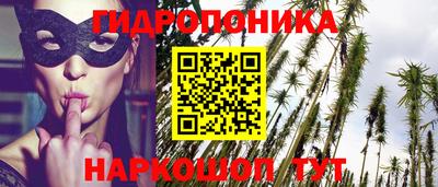 винт Канаш
