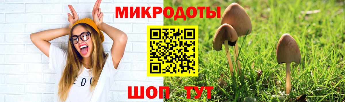 Кулебаки  Псилоцибиновые грибы Psilocybe  Вход с VPN 